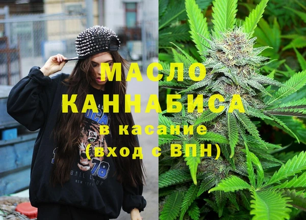 стаф Аркадак