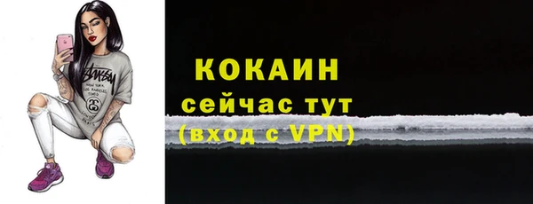 стаф Аркадак