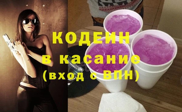стаф Аркадак