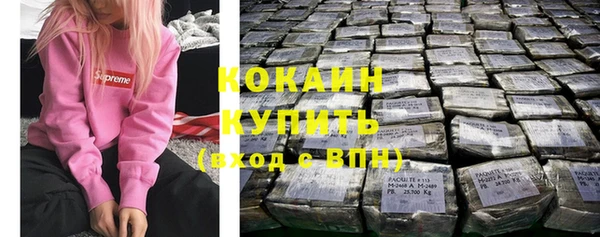 стаф Аркадак