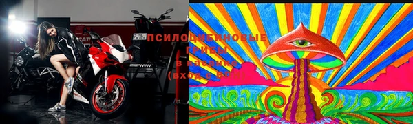 тгк Армянск