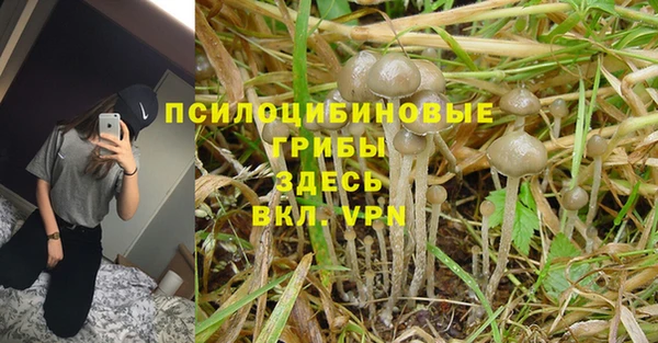 тгк Армянск