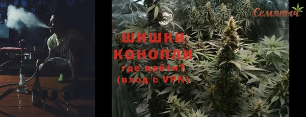дмт Арсеньев