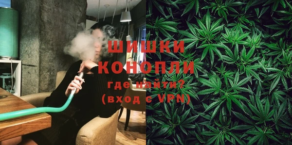 дмт Арсеньев