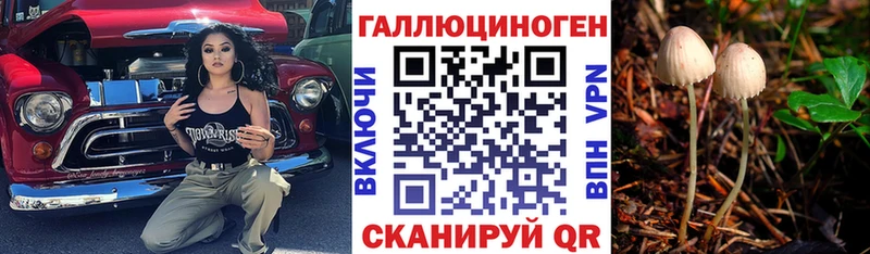 купить   Балабаново  Псилоцибиновые грибы мицелий 